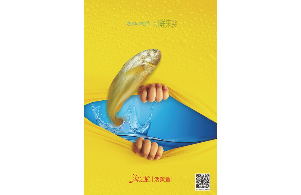 《活黃魚》獲浙江省第十九屆廣告創意大賽商(shāng)業類銅獎